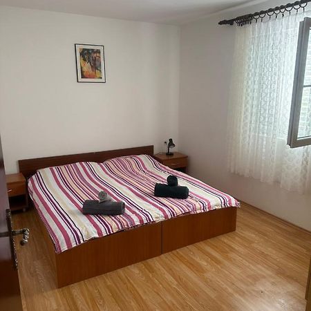 Apartmani Marko Novalja Eksteriør bilde
